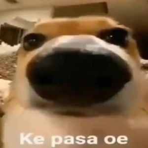 Meet your Posher, Natalia